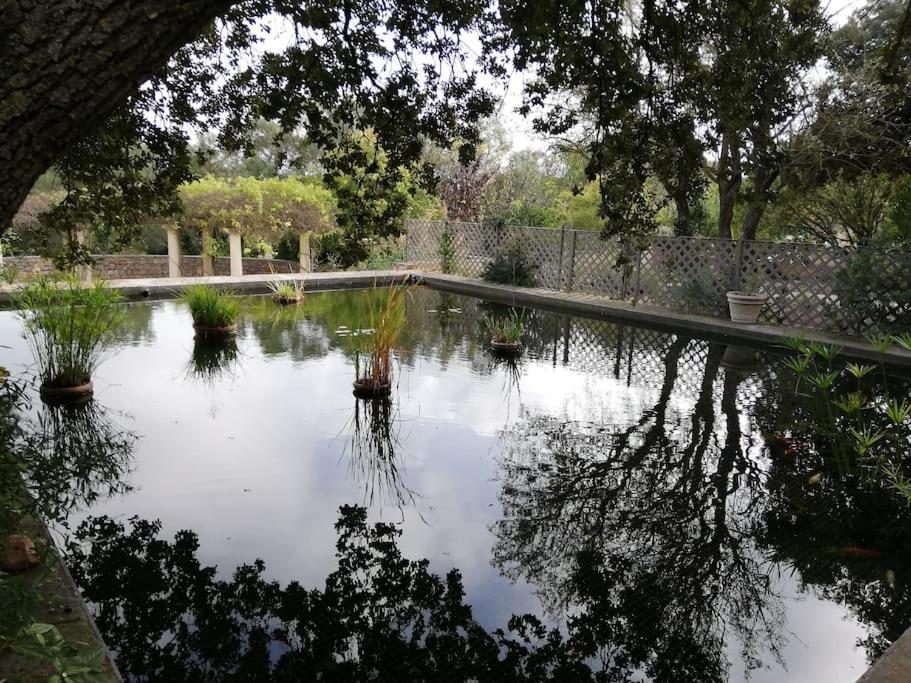 L'Astre Villa Loupian Buitenkant foto